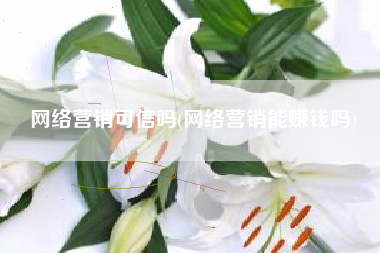 网络营销可信吗(网络营销能赚钱吗)