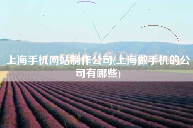 上海手机网站制作公司(上海做手机的公司有哪些)