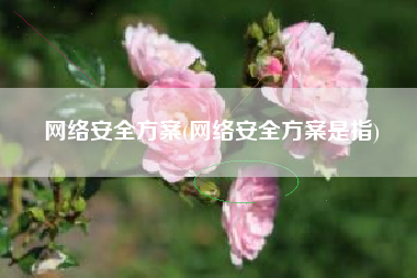 网络安全方案(网络安全方案是指)