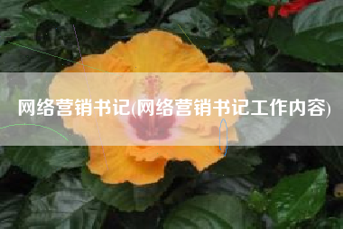 网络营销书记(网络营销书记工作内容)
