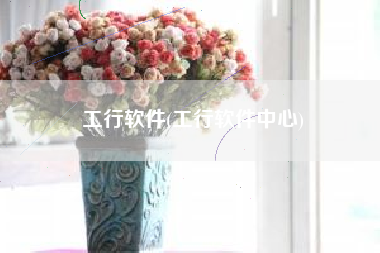 工行软件(工行软件中心)