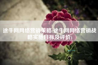 途牛网网络营销策略(途牛网网络营销战略实施目标及评价)