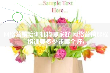 网络营销培训机构哪家好(网络营销课程培训要多少钱哪个好)