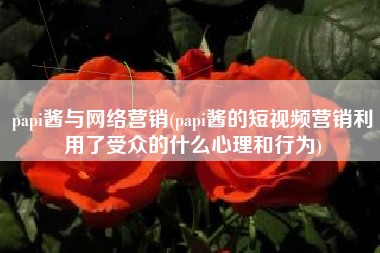 papi酱与网络营销(papi酱的短视频营销利用了受众的什么心理和行为)