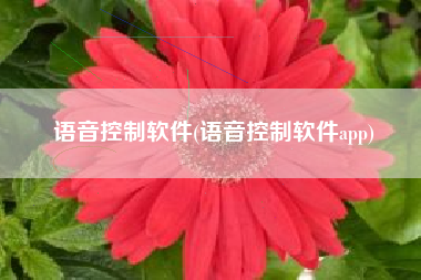 语音控制软件(语音控制软件app)