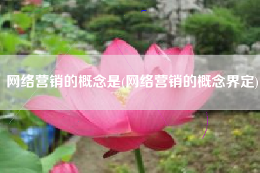 网络营销的概念是(网络营销的概念界定)