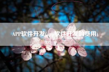 APP软件开发(app软件开发的费用)