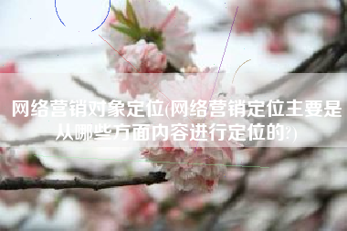 网络营销对象定位(网络营销定位主要是从哪些方面内容进行定位的?)
