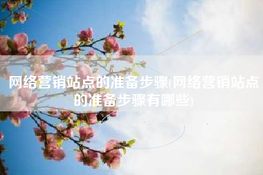 网络营销站点的准备步骤(网络营销站点的准备步骤有哪些)