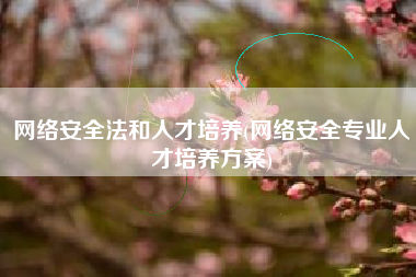 网络安全法和人才培养(网络安全专业人才培养方案)