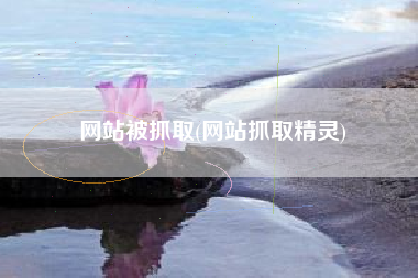 网站被抓取(网站抓取精灵)