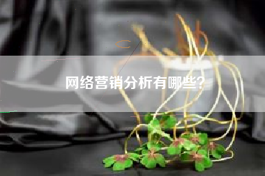网络营销分析有哪些？