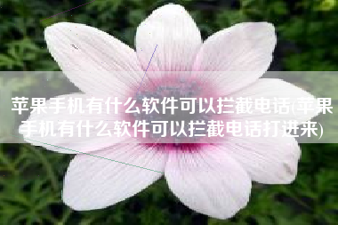 苹果手机有什么软件可以拦截电话(苹果手机有什么软件可以拦截电话打进来)