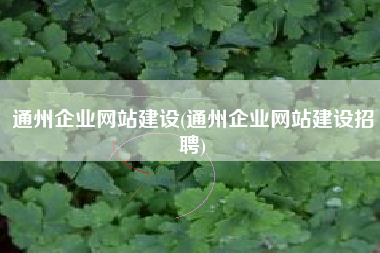 通州企业网站建设(通州企业网站建设招聘)