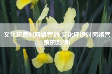 文化环境对网络营销(文化环境对网络营销的影响)