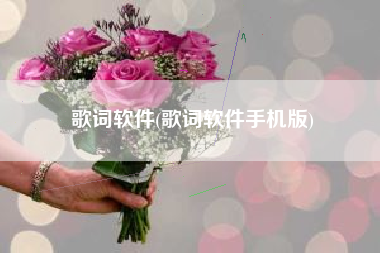 歌词软件(歌词软件手机版)