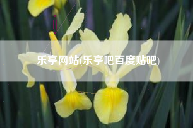 乐亭网站(乐亭吧百度贴吧)