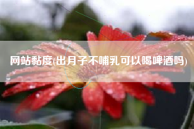 网站黏度(出月子不哺乳可以喝啤酒吗)