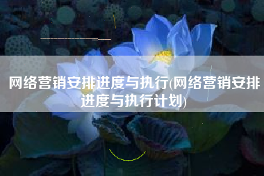 网络营销安排进度与执行(网络营销安排进度与执行计划)