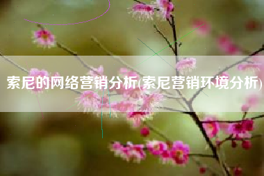 索尼的网络营销分析(索尼营销环境分析)
