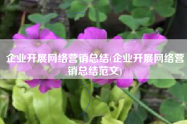 企业开展网络营销总结(企业开展网络营销总结范文)