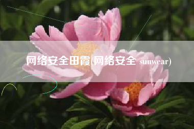 网络安全田霞(网络安全 sunwear)