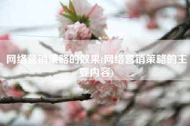 网络营销策略的效果(网络营销策略的主要内容)