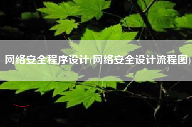 网络安全程序设计(网络安全设计流程图)