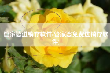 管家婆进销存软件(管家婆免费进销存软件)