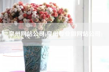 泉州网站公司(泉州专业做网站公司)