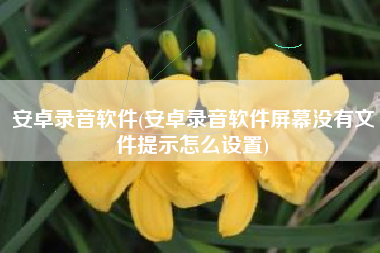 安卓录音软件(安卓录音软件屏幕没有文件提示怎么设置)