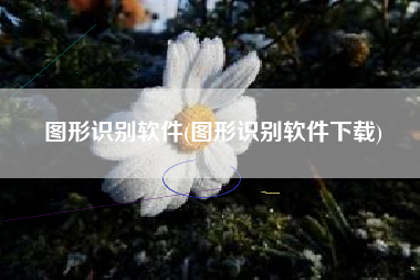 图形识别软件(图形识别软件下载)