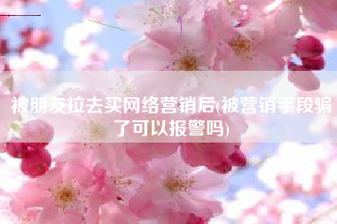 被朋友拉去买网络营销后(被营销手段骗了可以报警吗)