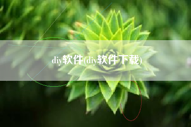 diy软件(diy软件下载)