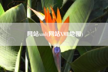 网站xml(网站XML地图)