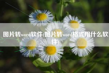 图片转word软件(图片转word格式用什么软件)