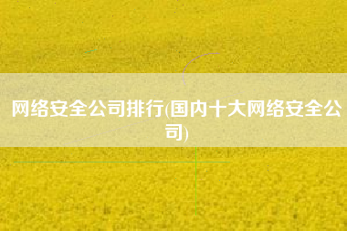 网络安全公司排行(国内十大网络安全公司)