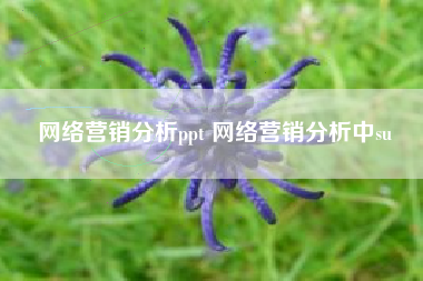 网络营销分析ppt 网络营销分析中su