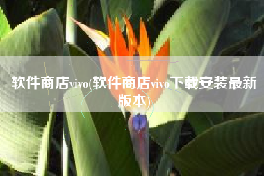 软件商店vivo(软件商店vivo下载安装最新版本)