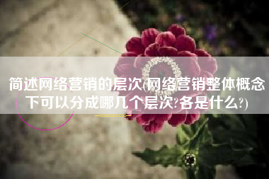 简述网络营销的层次(网络营销整体概念下可以分成哪几个层次?各是什么?)