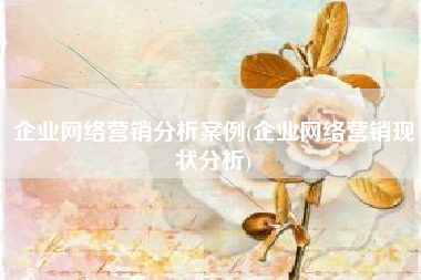 企业网络营销分析案例(企业网络营销现状分析)