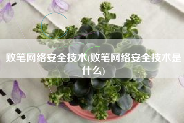 败笔网络安全技术(败笔网络安全技术是什么)