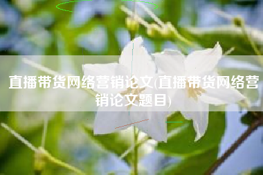 直播带货网络营销论文(直播带货网络营销论文题目)