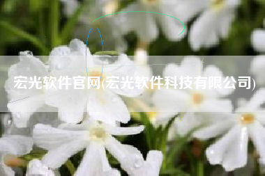 宏光软件官网(宏光软件科技有限公司)