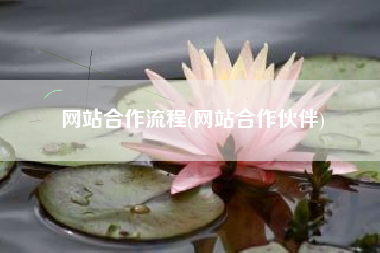 网站合作流程(网站合作伙伴)