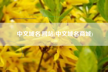 中文域名.网站(中文域名商城)
