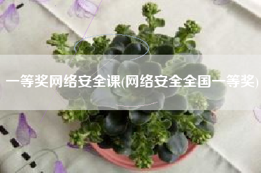 一等奖网络安全课(网络安全全国一等奖)