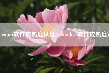 cmmi软件成熟度认证(cmmidev 软件成熟度)