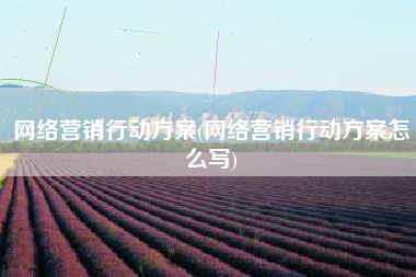 网络营销行动方案(网络营销行动方案怎么写)