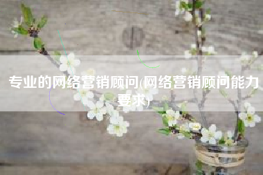专业的网络营销顾问(网络营销顾问能力要求)